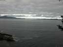 ./images/koeye/fitz-hugh/20180804/fitz-hugh20180804_084502.jpg