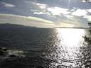 ./images/koeye/fitz-hugh/20180805/fitz-hugh20180805_181501.jpg