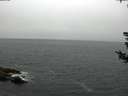 ./images/koeye/fitz-hugh/20180806/fitz-hugh20180806_074001.jpg