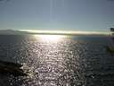 ./images/koeye/fitz-hugh/20180806/fitz-hugh20180806_165001.jpg