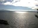 ./images/koeye/fitz-hugh/20180806/fitz-hugh20180806_172001.jpg