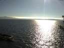 ./images/koeye/fitz-hugh/20180806/fitz-hugh20180806_180002.jpg
