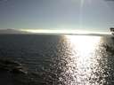 ./images/koeye/fitz-hugh/20180806/fitz-hugh20180806_180501.jpg