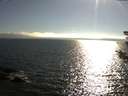 ./images/koeye/fitz-hugh/20180806/fitz-hugh20180806_181502.jpg