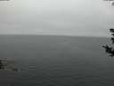 ./images/koeye/fitz-hugh/20180806/fitz-hugh20180806_212502.jpg