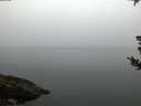 ./images/koeye/fitz-hugh/20180807/fitz-hugh20180807_054502.jpg