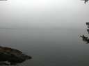 ./images/koeye/fitz-hugh/20180807/fitz-hugh20180807_060002.jpg