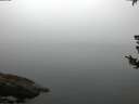 ./images/koeye/fitz-hugh/20180807/fitz-hugh20180807_060502.jpg