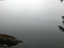./images/koeye/fitz-hugh/20180807/fitz-hugh20180807_061002.jpg
