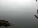 ./images/koeye/fitz-hugh/20180807/fitz-hugh20180807_061502.jpg