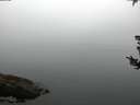 ./images/koeye/fitz-hugh/20180807/fitz-hugh20180807_062002.jpg