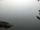 ./images/koeye/fitz-hugh/20180807/fitz-hugh20180807_064001.jpg