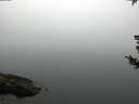 ./images/koeye/fitz-hugh/20180807/fitz-hugh20180807_064501.jpg