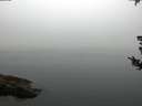 ./images/koeye/fitz-hugh/20180807/fitz-hugh20180807_065001.jpg
