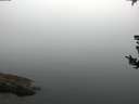 ./images/koeye/fitz-hugh/20180807/fitz-hugh20180807_070501.jpg