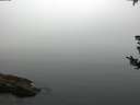 ./images/koeye/fitz-hugh/20180807/fitz-hugh20180807_071001.jpg