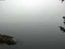 ./images/koeye/fitz-hugh/20180807/fitz-hugh20180807_071501.jpg