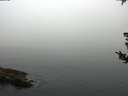 ./images/koeye/fitz-hugh/20180807/fitz-hugh20180807_072001.jpg