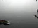 ./images/koeye/fitz-hugh/20180807/fitz-hugh20180807_075001.jpg
