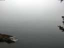 ./images/koeye/fitz-hugh/20180807/fitz-hugh20180807_075501.jpg