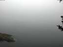 ./images/koeye/fitz-hugh/20180807/fitz-hugh20180807_080002.jpg
