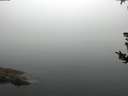 ./images/koeye/fitz-hugh/20180807/fitz-hugh20180807_080501.jpg