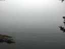 ./images/koeye/fitz-hugh/20180807/fitz-hugh20180807_082001.jpg
