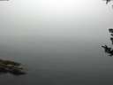 ./images/koeye/fitz-hugh/20180807/fitz-hugh20180807_084001.jpg