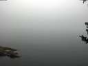 ./images/koeye/fitz-hugh/20180807/fitz-hugh20180807_084501.jpg