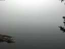 ./images/koeye/fitz-hugh/20180807/fitz-hugh20180807_085002.jpg