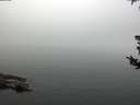 ./images/koeye/fitz-hugh/20180807/fitz-hugh20180807_085502.jpg