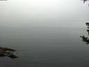 ./images/koeye/fitz-hugh/20180807/fitz-hugh20180807_091502.jpg