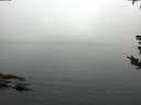 ./images/koeye/fitz-hugh/20180807/fitz-hugh20180807_095001.jpg