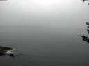 ./images/koeye/fitz-hugh/20180807/fitz-hugh20180807_095501.jpg