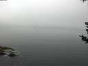./images/koeye/fitz-hugh/20180807/fitz-hugh20180807_103501.jpg