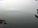 ./images/koeye/fitz-hugh/20180807/fitz-hugh20180807_104001.jpg