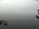 ./images/koeye/fitz-hugh/20180807/fitz-hugh20180807_104501.jpg