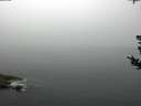 ./images/koeye/fitz-hugh/20180807/fitz-hugh20180807_112501.jpg