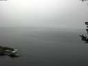 ./images/koeye/fitz-hugh/20180807/fitz-hugh20180807_114501.jpg