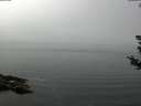 ./images/koeye/fitz-hugh/20180807/fitz-hugh20180807_124002.jpg