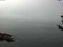 ./images/koeye/fitz-hugh/20180807/fitz-hugh20180807_124501.jpg
