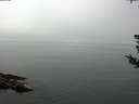 ./images/koeye/fitz-hugh/20180807/fitz-hugh20180807_125001.jpg
