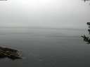 ./images/koeye/fitz-hugh/20180807/fitz-hugh20180807_125501.jpg