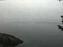 ./images/koeye/fitz-hugh/20180808/fitz-hugh20180808_052502.jpg