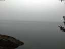 ./images/koeye/fitz-hugh/20180808/fitz-hugh20180808_055502.jpg