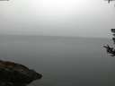 ./images/koeye/fitz-hugh/20180808/fitz-hugh20180808_061502.jpg