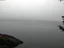 ./images/koeye/fitz-hugh/20180808/fitz-hugh20180808_062002.jpg