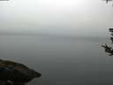 ./images/koeye/fitz-hugh/20180808/fitz-hugh20180808_063501.jpg