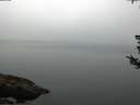 ./images/koeye/fitz-hugh/20180808/fitz-hugh20180808_071501.jpg