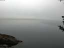 ./images/koeye/fitz-hugh/20180808/fitz-hugh20180808_072501.jpg
